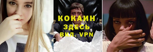 индика Баксан