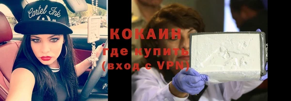индика Баксан