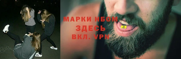 индика Баксан