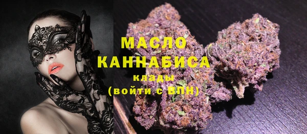 индика Баксан