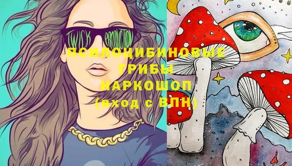 индика Баксан