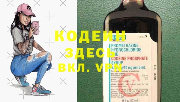 индика Баксан
