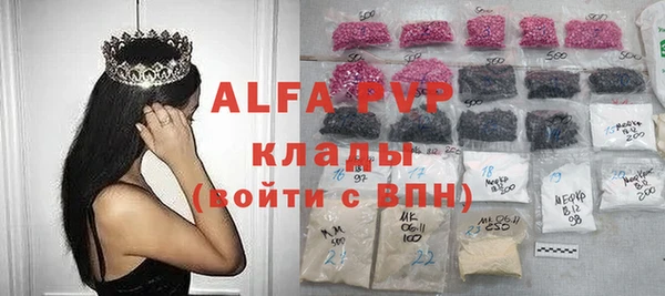 индика Баксан