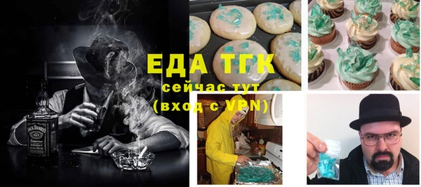 индика Баксан