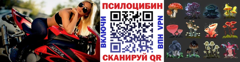 Галлюциногенные грибы мухоморы  дарнет шоп  Нижний Тагил 